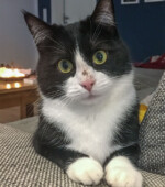 Mia Svg+xml,%3Csvg%20xmlns%3D%22http%3A%2F%2Fwww.w3